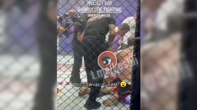 Бой моргенштерна и гордея плохо закончился