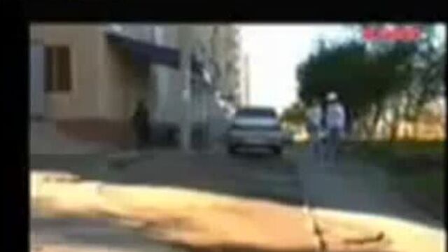 Гоблиддин ;)