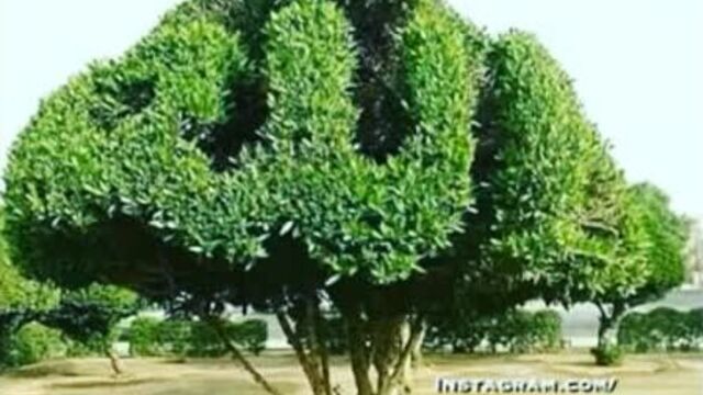 [v-s.mobi]поздравление с началом месяца рамадан. очень красиво.mp4