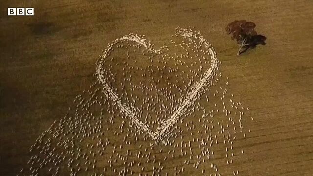 Video by типичный красноармейск (покровск)