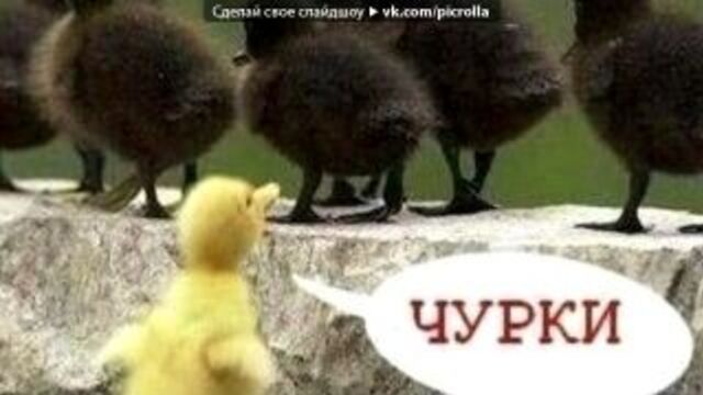 «красивые фото • fotiko.ru» под музыку сява - я вална по ебалу на. picrolla