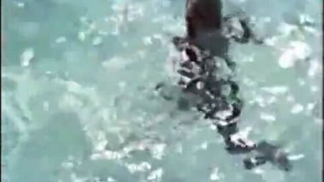 Nude pool scenel (hd 480)