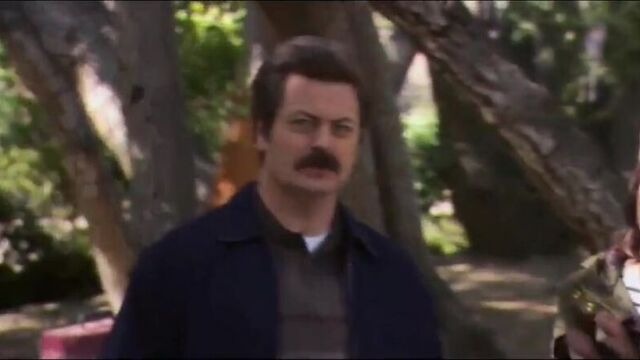 Рон свонсон - домовладелец