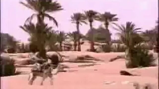 Интервью джованны антонелли и мурилу бенисио