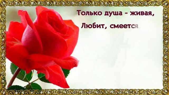 S-dnem-rojdeniya-tamara_(videomega.ru).mp4