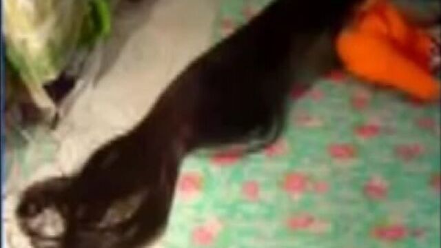 Порно молоко из сисек