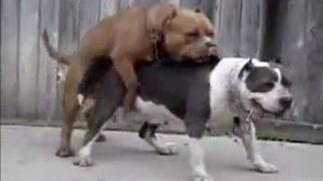 Секис с необычным исходом