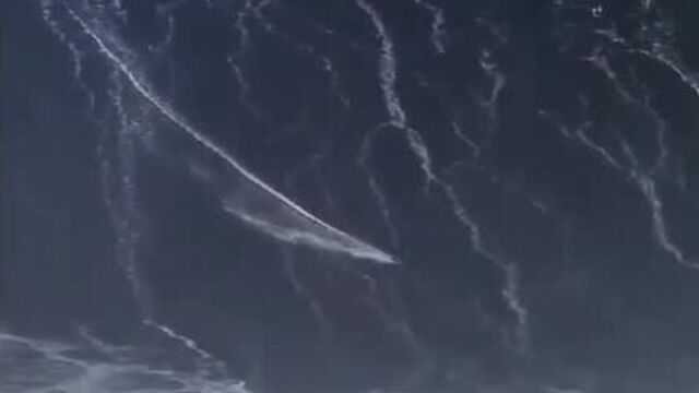 На гребне волны