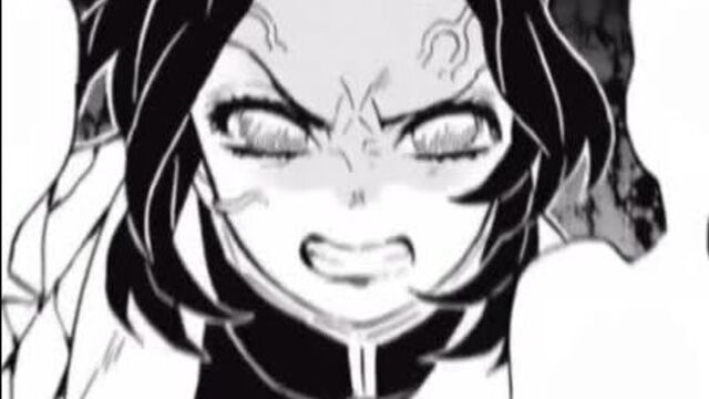 ▹ kimetsu no yaiba; mitsuri & shinobu