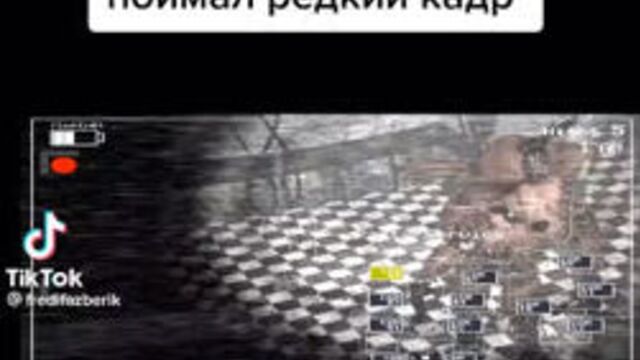 Video by скорти gta 5