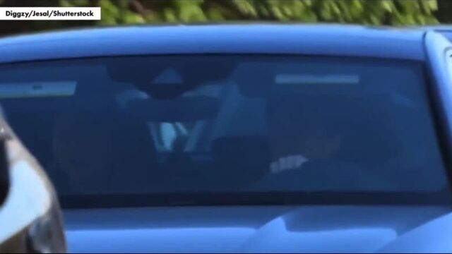 Зендая и том холланд замечены целующимися