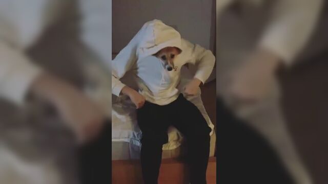 Даша каплан, юлий онешко и бима в instargam