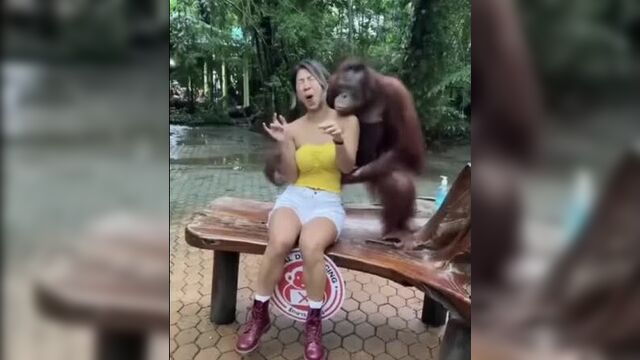 Фотосессия с обезьяной