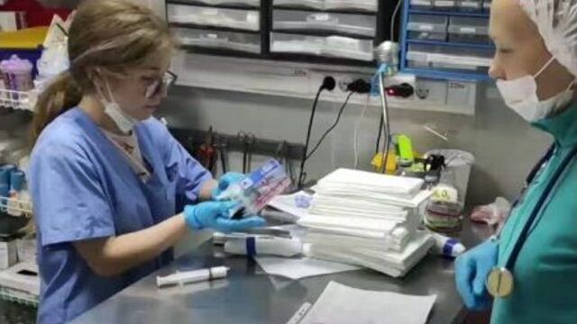 Video by ветеринарная клиника клык+, г. пермь