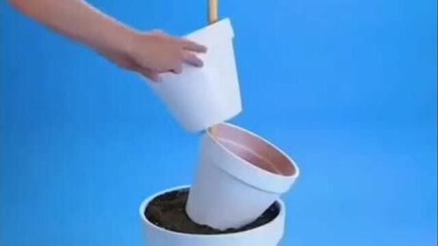 Цветочная клумба