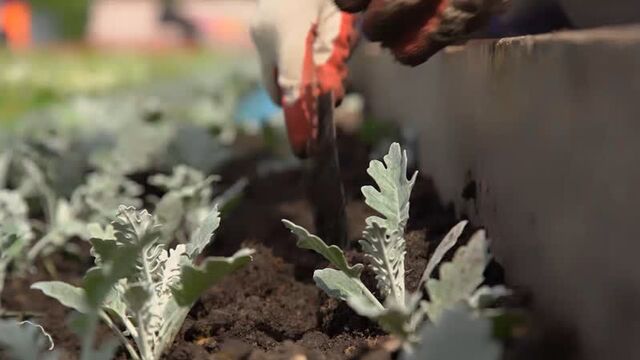 Video by гбу «автомобильные дороги»