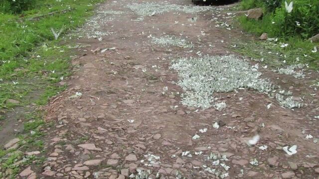 Video by подслушано дивногорск