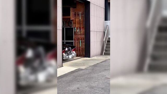 Вито из игры мафия 2.