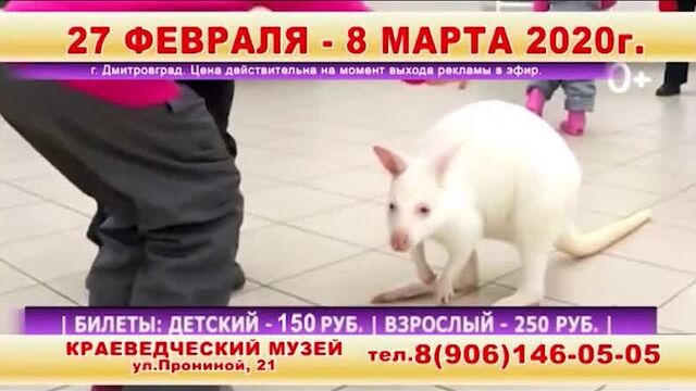 Джунгли парк