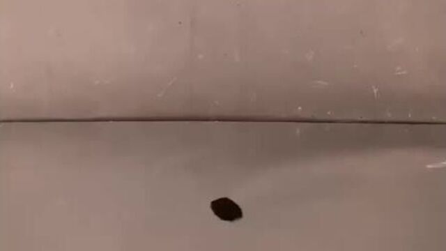 Kmno4 (перманганат калия) и глицерин.