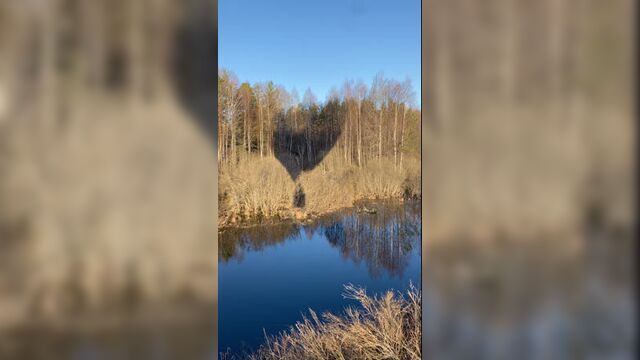 Live: полёты на воздушном шаре в нижнем новгороде