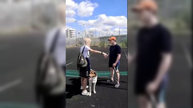 Ниче не понял, но очень интересно