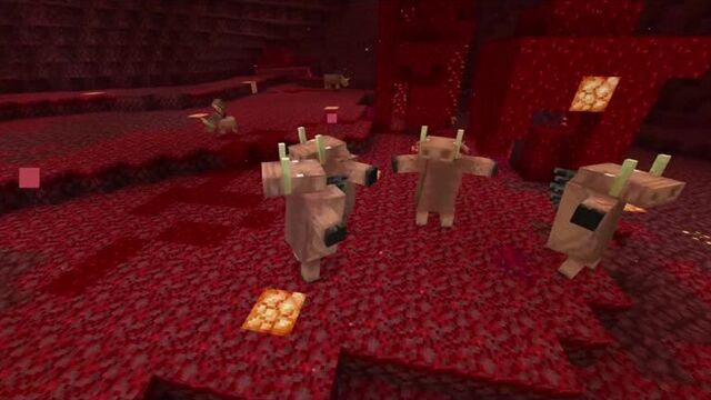 Хоглины и пиглины танцуют!