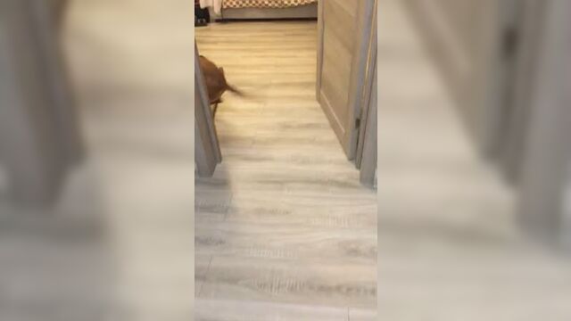 Райли и бостона