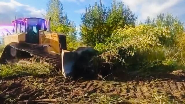 Зарождение приюта «косточка, живи!»