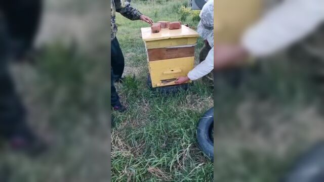 Забираем улья оставшиеся после кочёвки.