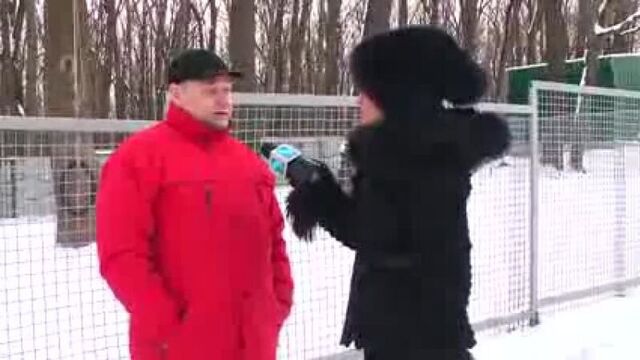 Аланский дог