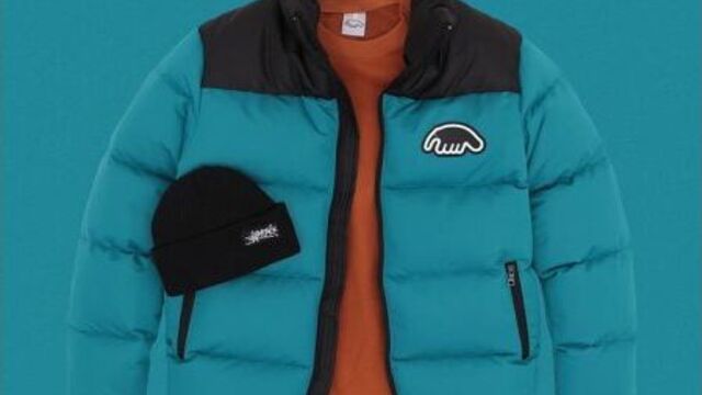 Куртка anteater downjacket