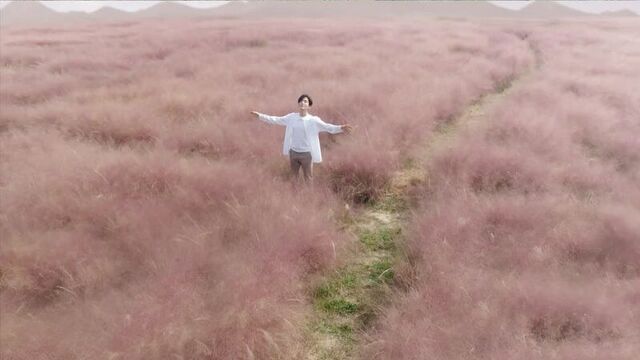 Симфонический роман