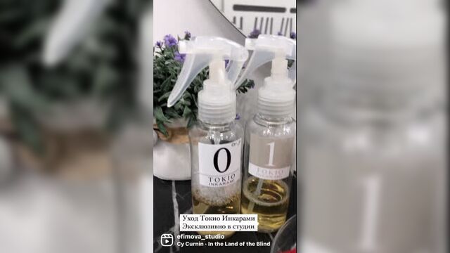 Японский уход токио инкарами