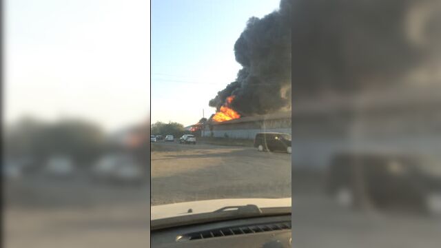 Live: нетипичный шадринск