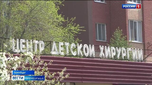 В оренбурге в цдх ежедневно обращаются по 2-3 ребёнка с травмами от укусов собак.