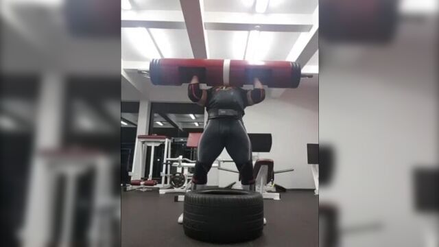 Жидрунас савицкас, лог-лифт 160 кг