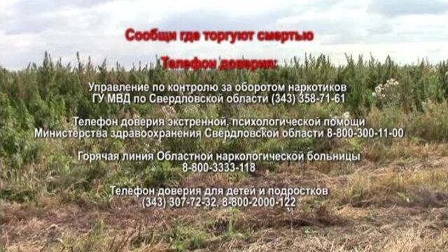 Сообщи где торгуют смертью