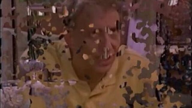 Video by veronika gusser