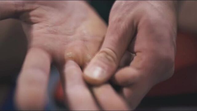 Тренироваться чтобы жить - дэвид лейд (david laid)