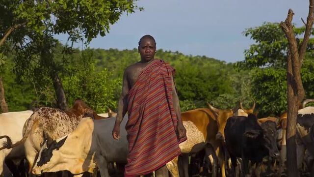 Племя бубал с гигантскими гениталиями