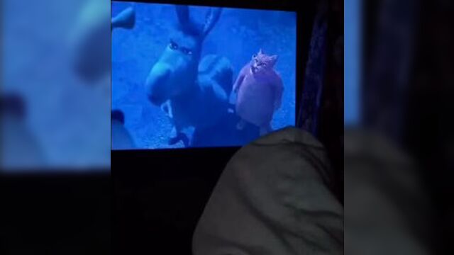 Когда мне грустно я смотрю наши старые мультики, обнимая плюшевую мишку..