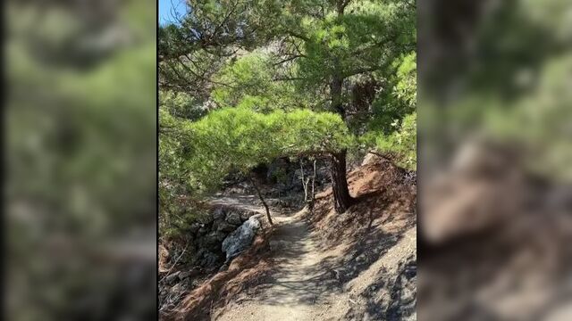 Video by в крым - инфо | отдых в крыму