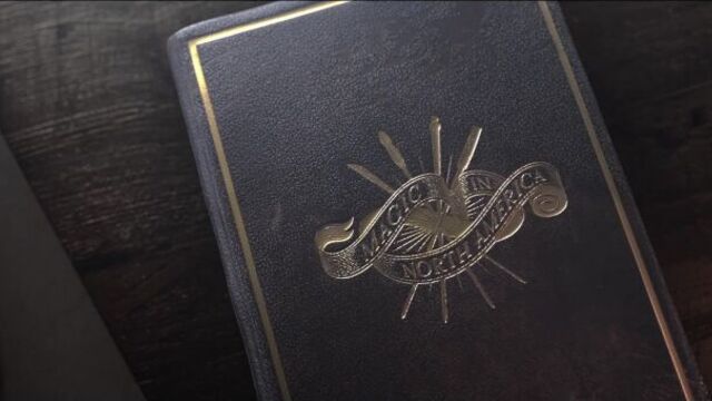 Фантастические твари и где они обитают. ильверморни - школа чародейства и волшебства