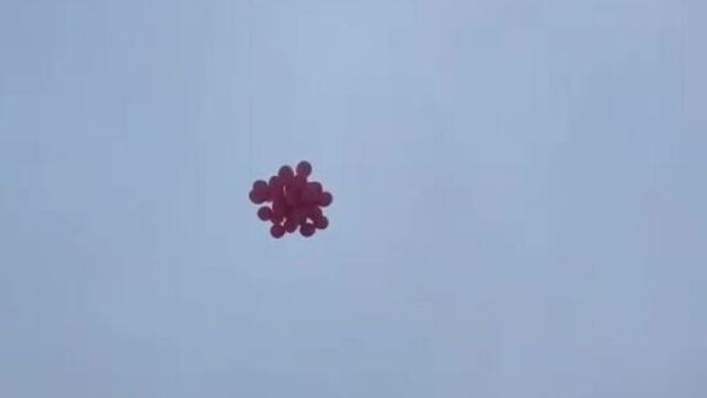 Видео курбан омаров в instagram • янв 10 2017 в 6:25 utc