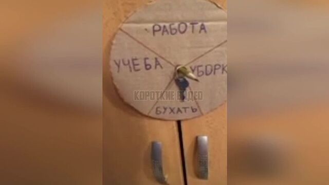 Судьбу не обманешь