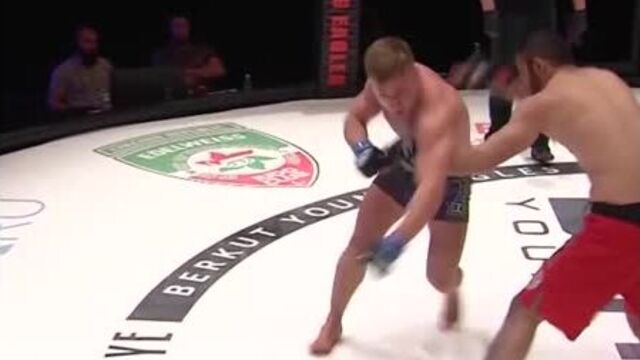 Биберт туменов