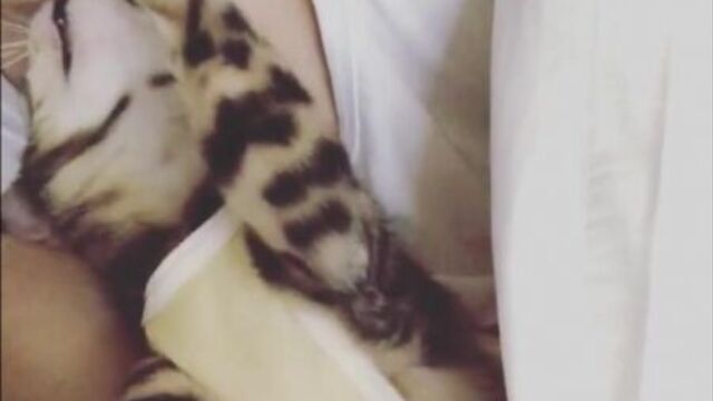 Ig jj_1986_jj (ким джэджун и его крошка)