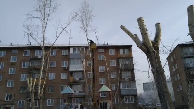 Как спиливают деревья во дворах.красноярск