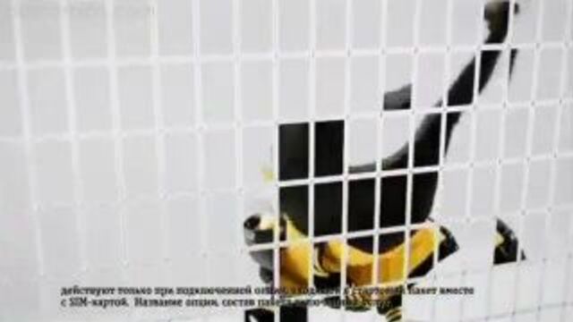 Beeline тариф go! 3